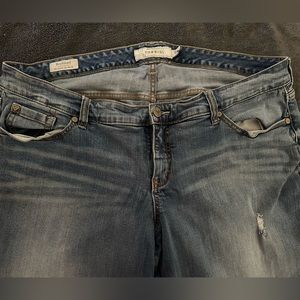 Size 20 Torrid Boyfriend Stretch Jean